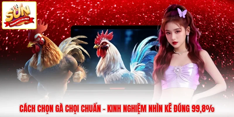 Cách Chọn Gà Chọi Chuẩn - Kinh Nghiệm Nhìn Kê Đúng 99,8%