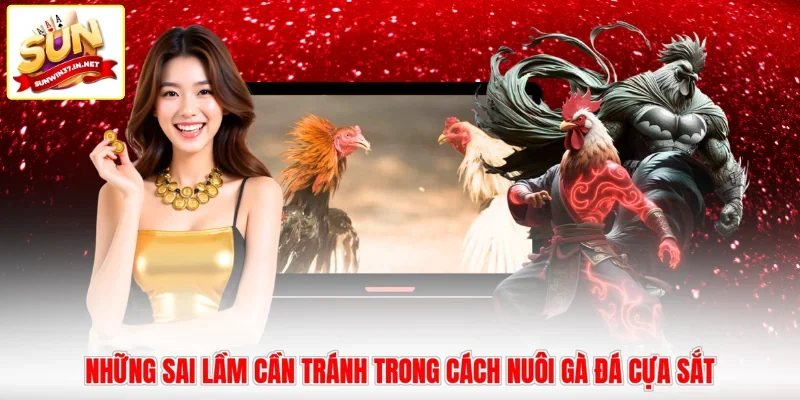 Những sai lầm cần tránh trong cách nuôi gà đá cựa sắt